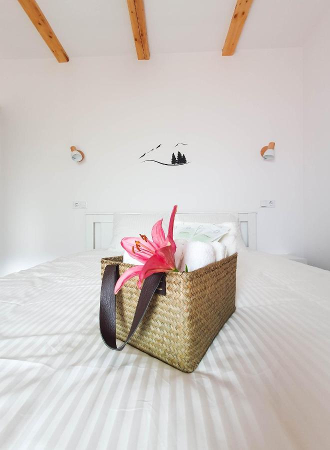 Domeniul Acasa In Vadu Izei Maramu Hotel Buitenkant foto