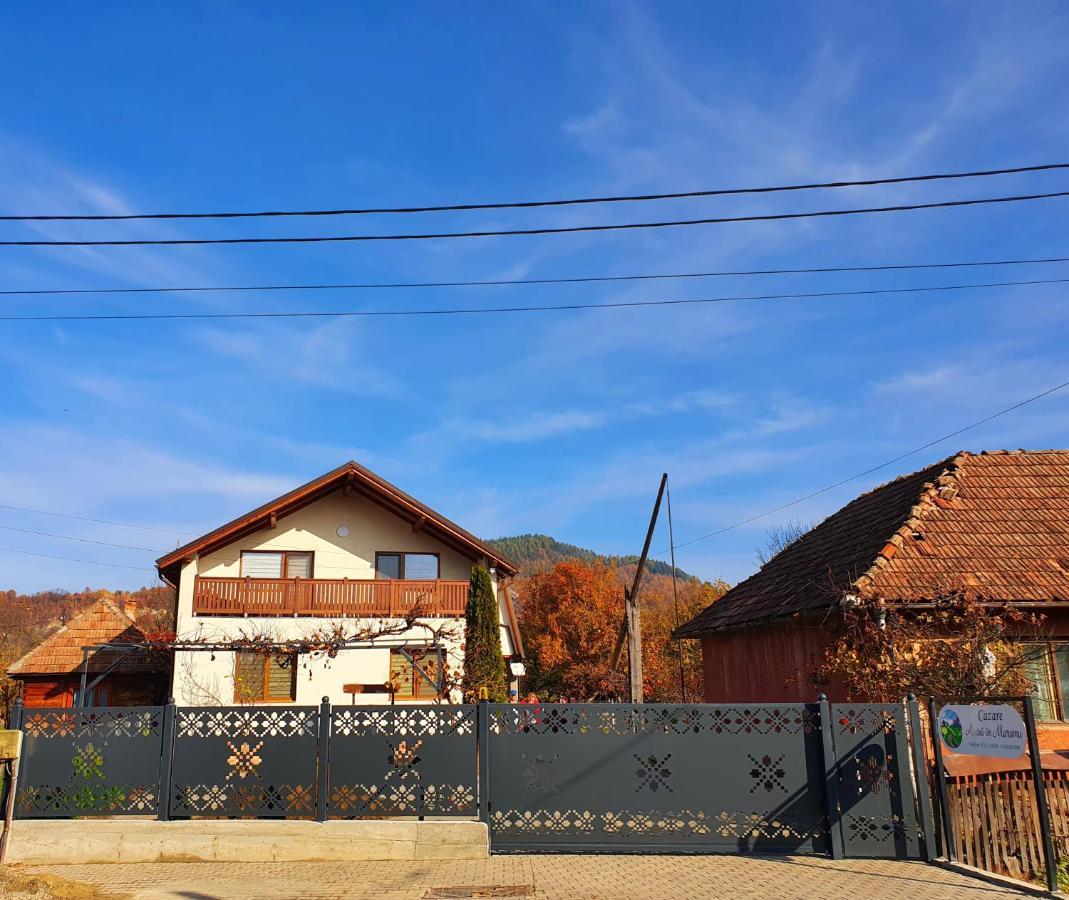 Domeniul Acasa In Vadu Izei Maramu Hotel Buitenkant foto